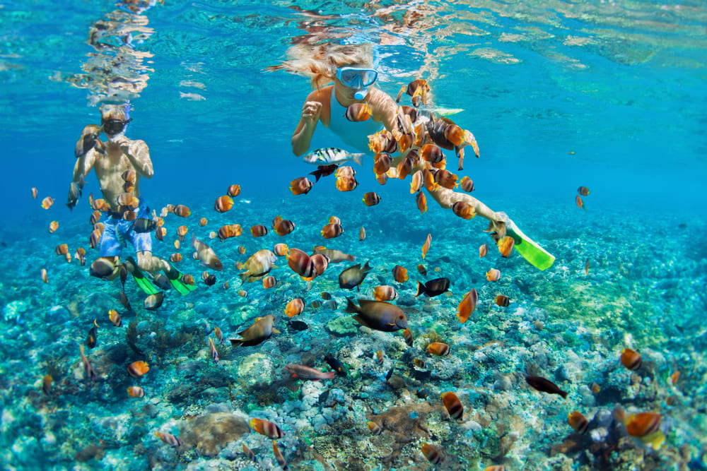 A young couple snorkeling in Phuket
