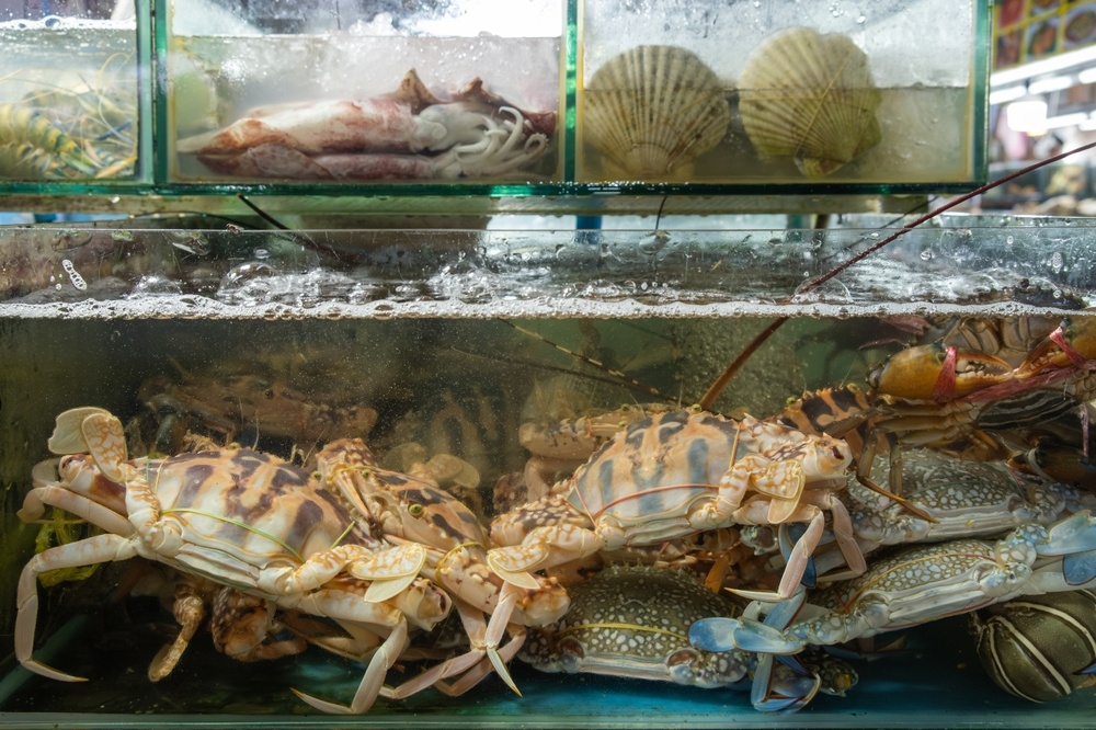 A fantastic selection of fresh seafood Phuket seafood market