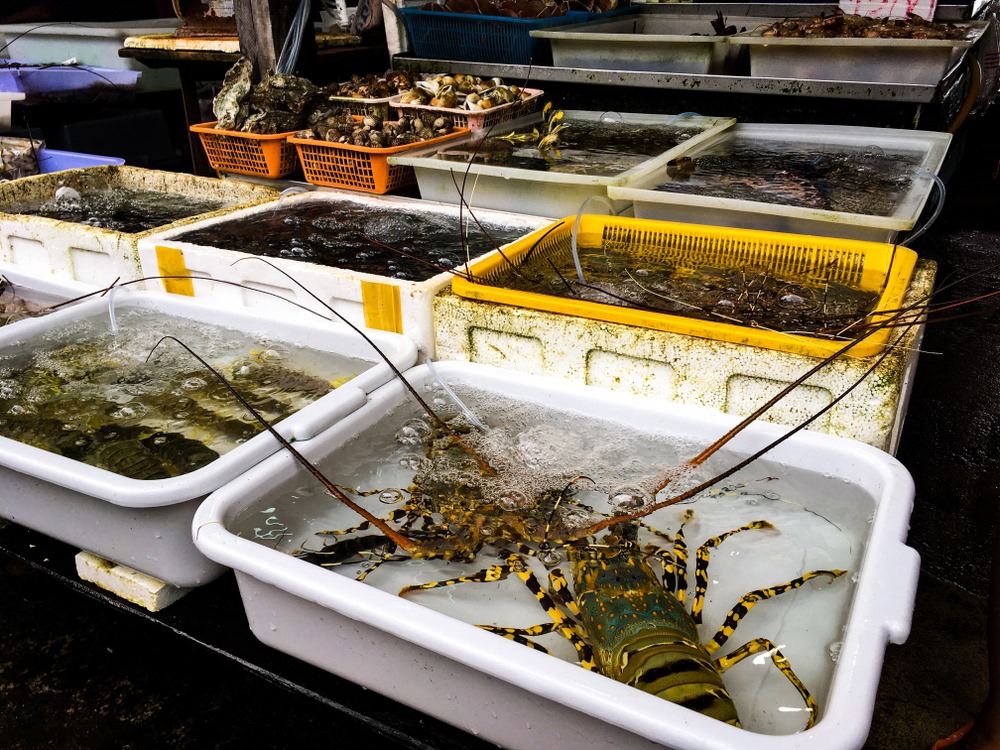 Fresh seafood for sale at Rawai seafood market in Phuket