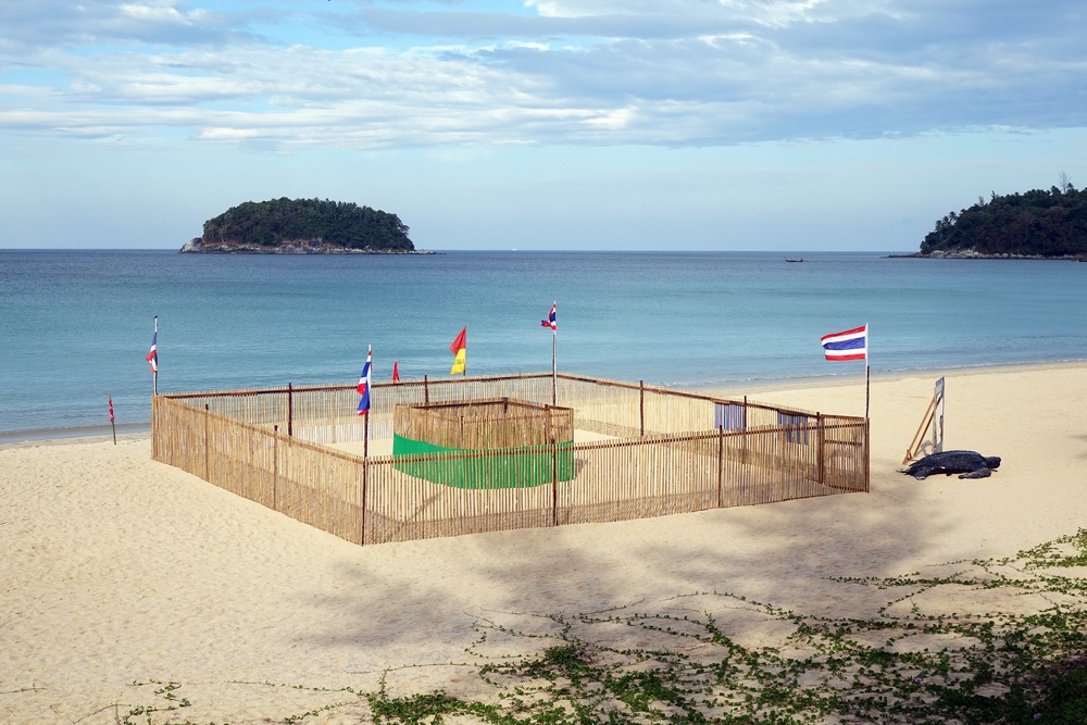 Protection and surveillance enclosure during sea turtle nesting season in Phuket